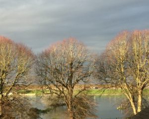 Counselling in North Somerset: Views across the Lake Grounds